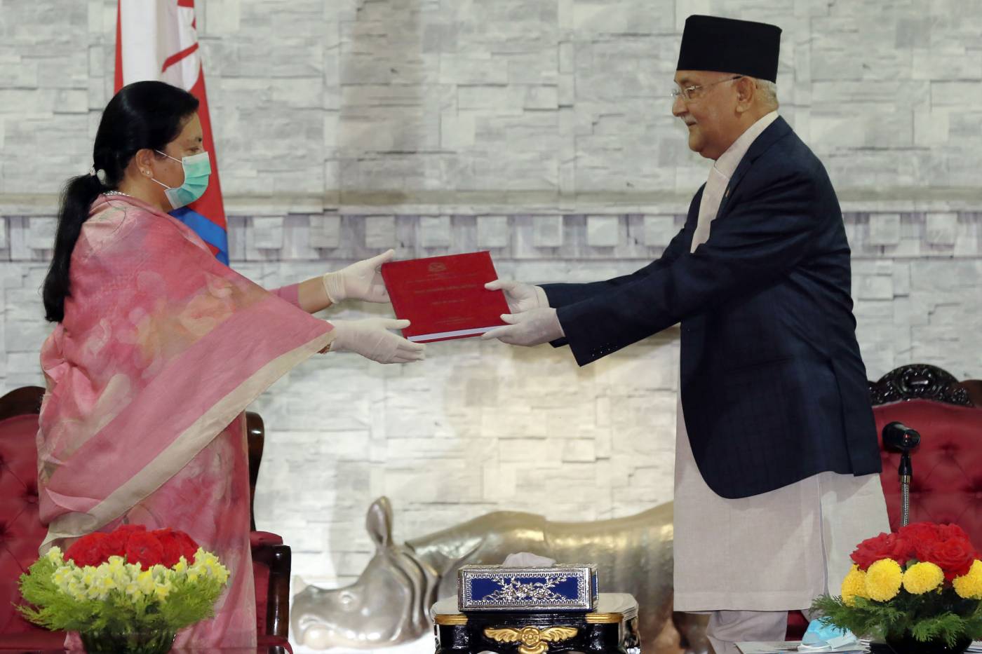 राष्ट्रपतिसमक्ष नेपाल सरकार र सुरक्षा परिषद्को वार्षिक प्रतिवेदन पेश
